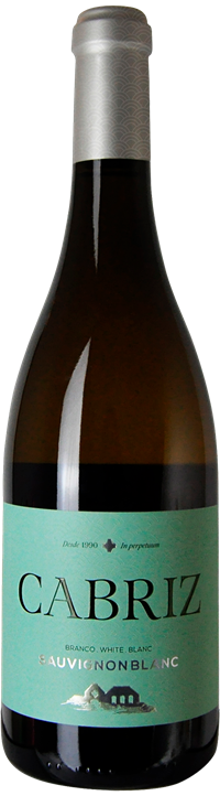 Garrafa Cabriz Sauvignon Blanc branco 2019